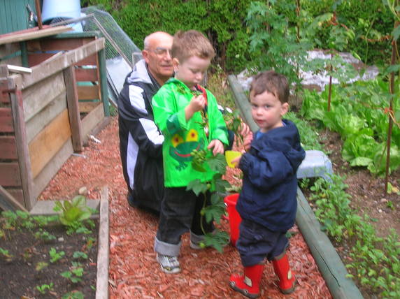 Hops Harvest 2010