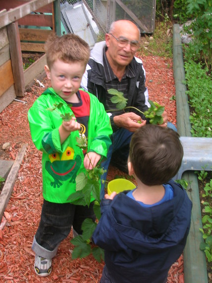 Hops Harvest 2010