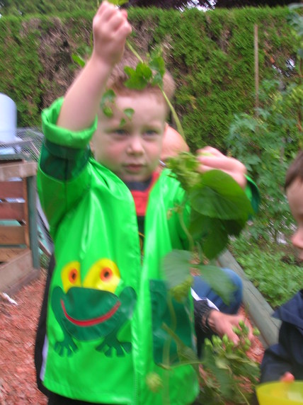 Hops Harvest 2010