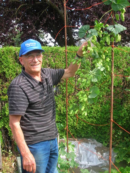 Hops Harvest 2010