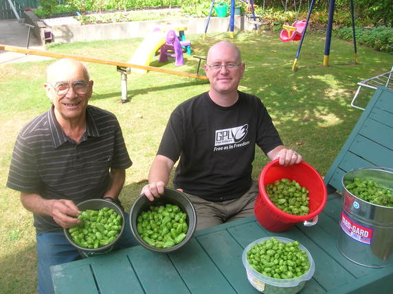 Hops Harvest 2010